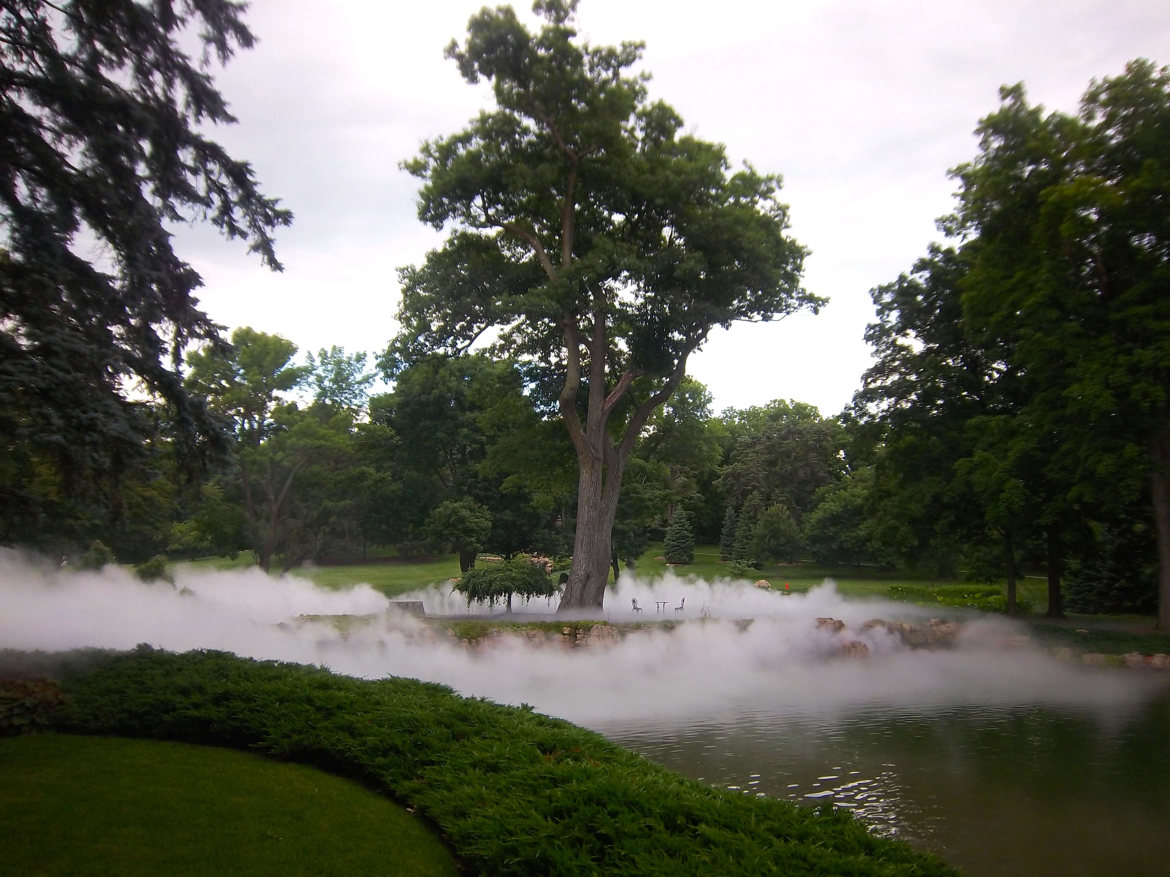fog-in-large-ponds.jpg
